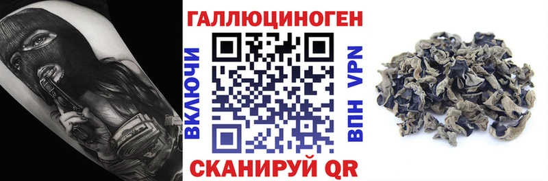 где купить наркоту  Владивосток  Галлюциногенные грибы GOLDEN TEACHER 